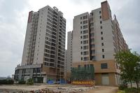 龙池新城实景图