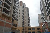 龙池新城实景图