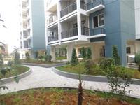 书香家园小区实景图8