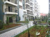 书香家园小区实景图9