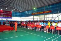 “万昌卓富国际城杯”排球赛活动图片