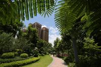 瑞和家园园林实景