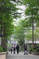 碧园南城故事园林实景