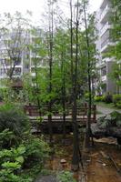 碧园·南城故事园林实景