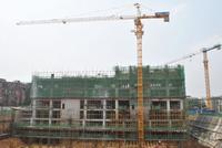 金鹅福地 工程进度