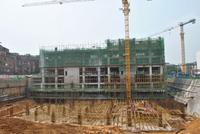 金鹅福地 工程进度