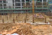 金鹅福地 工程进度