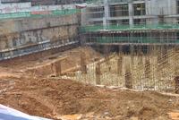 金鹅福地 工程进度