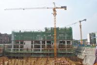 金鹅福地 工程进度