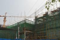 金鹅福地 工程进度