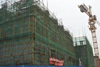 金鹅福地 工程进度