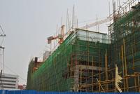 金鹅福地 工程进度