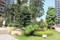 凤岭名园实景图(9.27)
