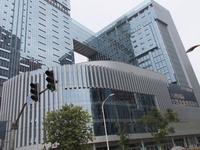 11月项目工程进度