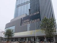 11月项目工程进度