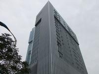 11月项目工程进度