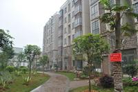 13#楼开盘暨业主质量监督活动