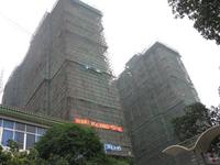 丽水帝都实景图