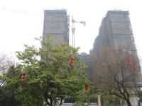 丽水帝都实景图