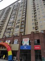 城市之春5月实景图