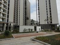 五皇新城11月实景图 