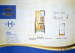 【H户型】1室1厅1卫1厨1阳台