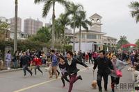 凤凰台上演"狗狗总动员"(11.30)