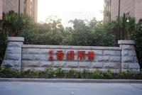 雄泰香缇丽景11月实景图