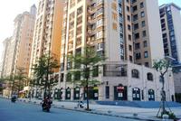 雄泰香缇丽景11月实景图