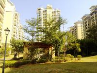 远辰金湾蓝岸11月实景图