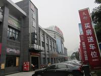 云星·钱隆天下实景图(1.15)