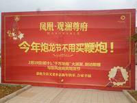 凤凰·观澜尊府广告欣赏