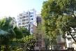 碧园香樟林实景图2013.12.02