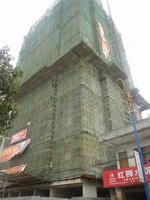 鼎建·静安嘉园实景图