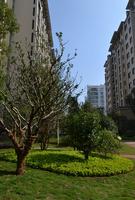 兴进上郡实景图2013.12.02