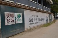 天娥花苑实景图