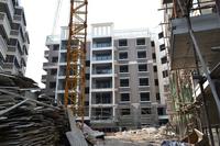 天娥花苑实景图