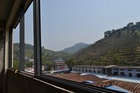 天娥花苑窗外的风景