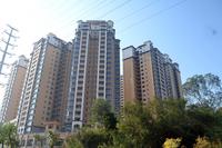 大都塞纳湖畔2013.12.2实景图