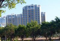 成德国际贸易广场2013.12.2实景图