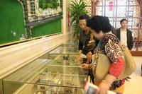 2013.03.30保利爱琴海看房团现场