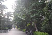 11.07在水一方 实景图