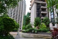 广源国际社区实景图(5.29)