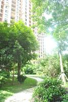 项目12月园林实景