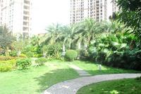 项目12月园林实景