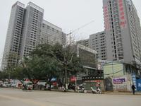 2013年2月份唐人街实景图