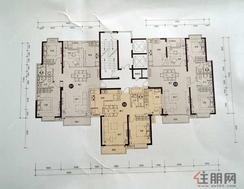 【2#1单元户型】