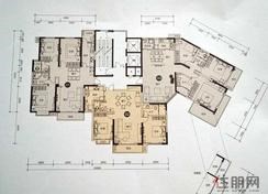 【2#2单元户型】