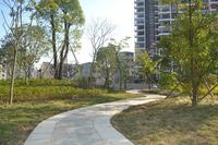 恒祥亲水湾2013.12.3实景图