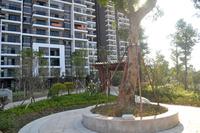 恒祥亲水湾2013.12.3实景图